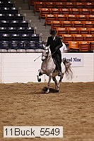 11buck_5549 thumbnail