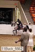 11buck_5562 thumbnail