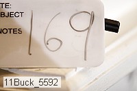 11buck_5592 thumbnail