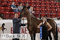 11buck_5635 thumbnail