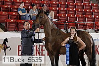 11buck_5635 thumbnail