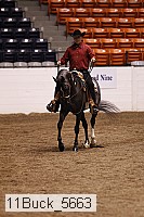 11buck_5663 thumbnail