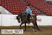 11buck_5671 thumbnail