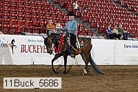 11buck_5686 thumbnail