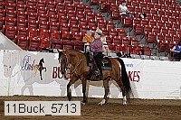 11buck_5713 thumbnail