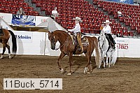 11buck_5714 thumbnail