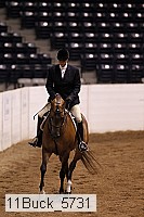 11buck_5731 thumbnail