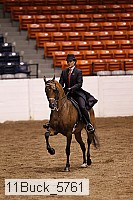 11buck_5761 thumbnail
