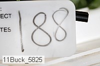 11buck_5825 thumbnail