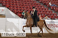 11buck_5830 thumbnail