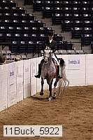 11buck_5922 thumbnail