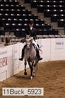 11buck_5923 thumbnail
