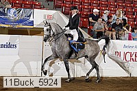 11buck_5924 thumbnail
