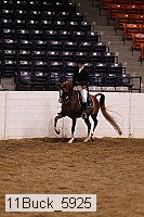 11buck_5925 thumbnail