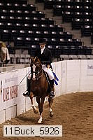 11buck_5926 thumbnail