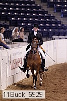 11buck_5929 thumbnail