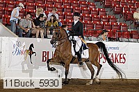 11buck_5930 thumbnail