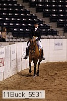 11buck_5931 thumbnail