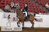 11buck_5933 thumbnail