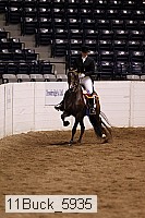 11buck_5935 thumbnail