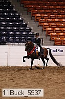 11buck_5937 thumbnail