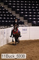 11buck_5938 thumbnail