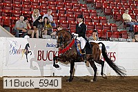 11buck_5940 thumbnail