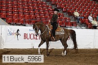 11buck_5966 thumbnail