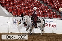 11buck_5969 thumbnail