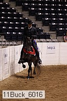 11buck_6016 thumbnail