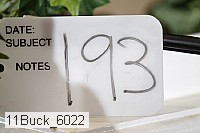 11buck_6022 thumbnail