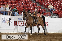 11buck_6027 thumbnail