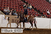 11buck_6103 thumbnail