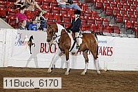 11buck_6170 thumbnail