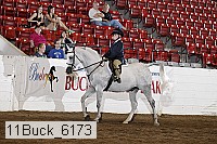 11buck_6173 thumbnail