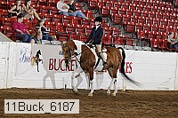 11buck_6187 thumbnail