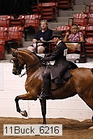 11buck_6216 thumbnail