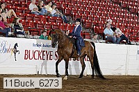 11buck_6273 thumbnail