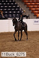 11buck_6275 thumbnail