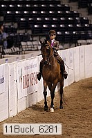 11buck_6281 thumbnail
