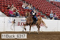 11buck_6317 thumbnail