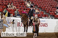 11buck_6348 thumbnail