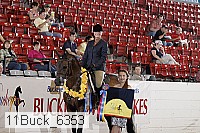 11buck_6353 thumbnail