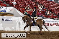 11buck_6382 thumbnail