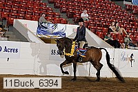 11buck_6394 thumbnail