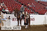 11buck_6478 thumbnail