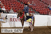 11buck_6479 thumbnail