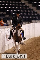 11buck_6491 thumbnail