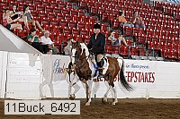 11buck_6492 thumbnail