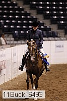 11buck_6493 thumbnail